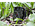 TECHNAXX Nature Wild Cam TX-69 - Piège photographique Camouflage
