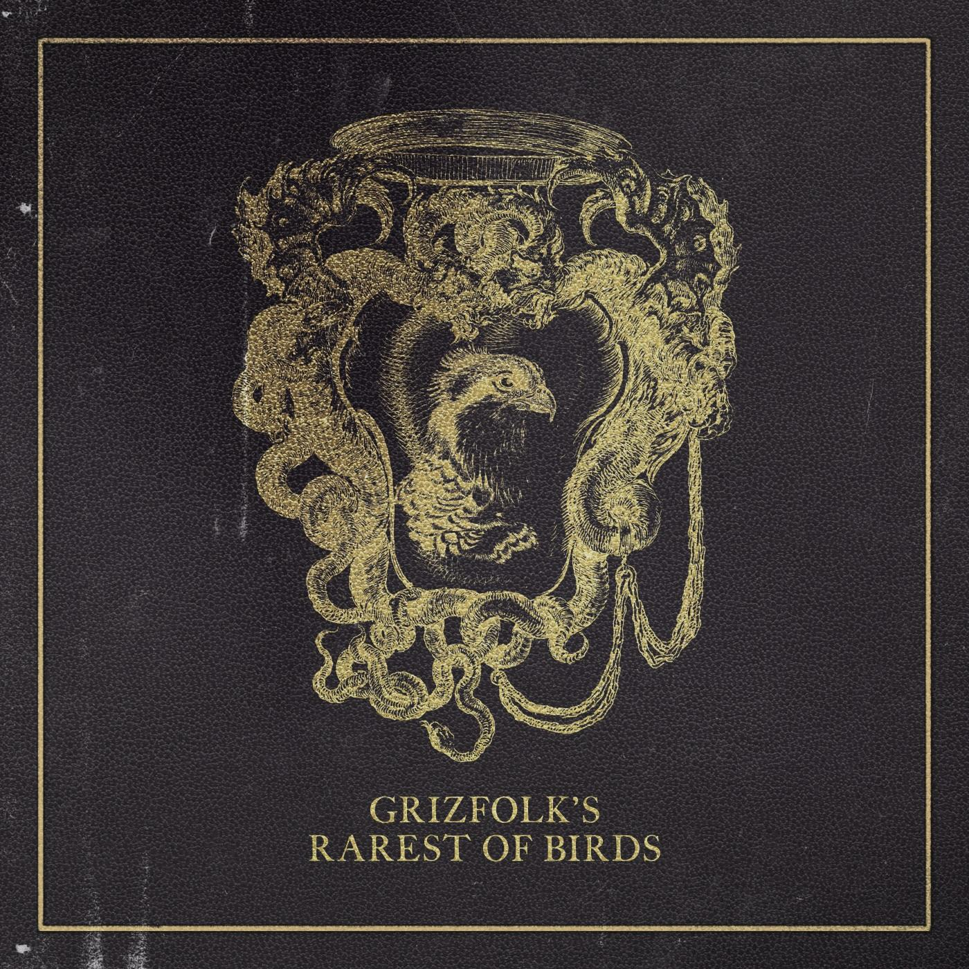 Rarest of Birds - - (Vinyl) Grizfolk