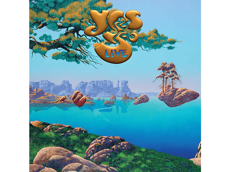 Artiest - Yes 50 Live CD