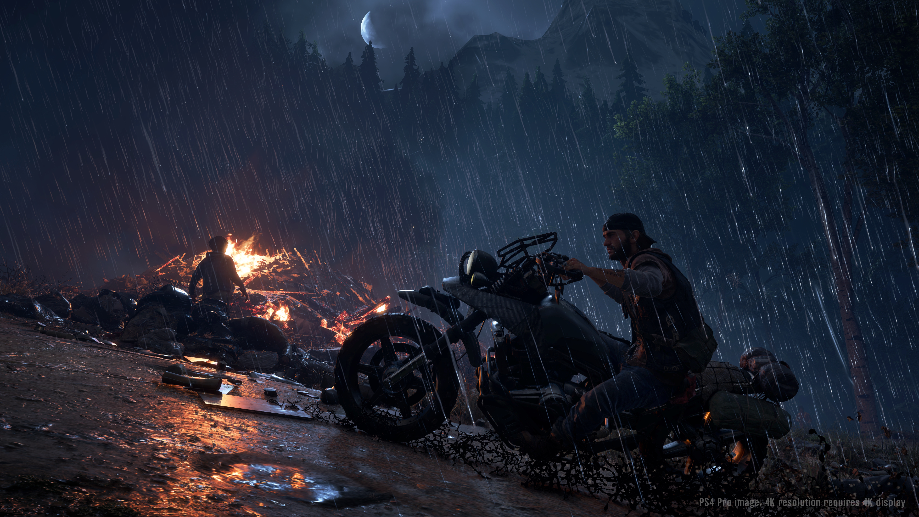 SONY Days Gone PS4 Oyun