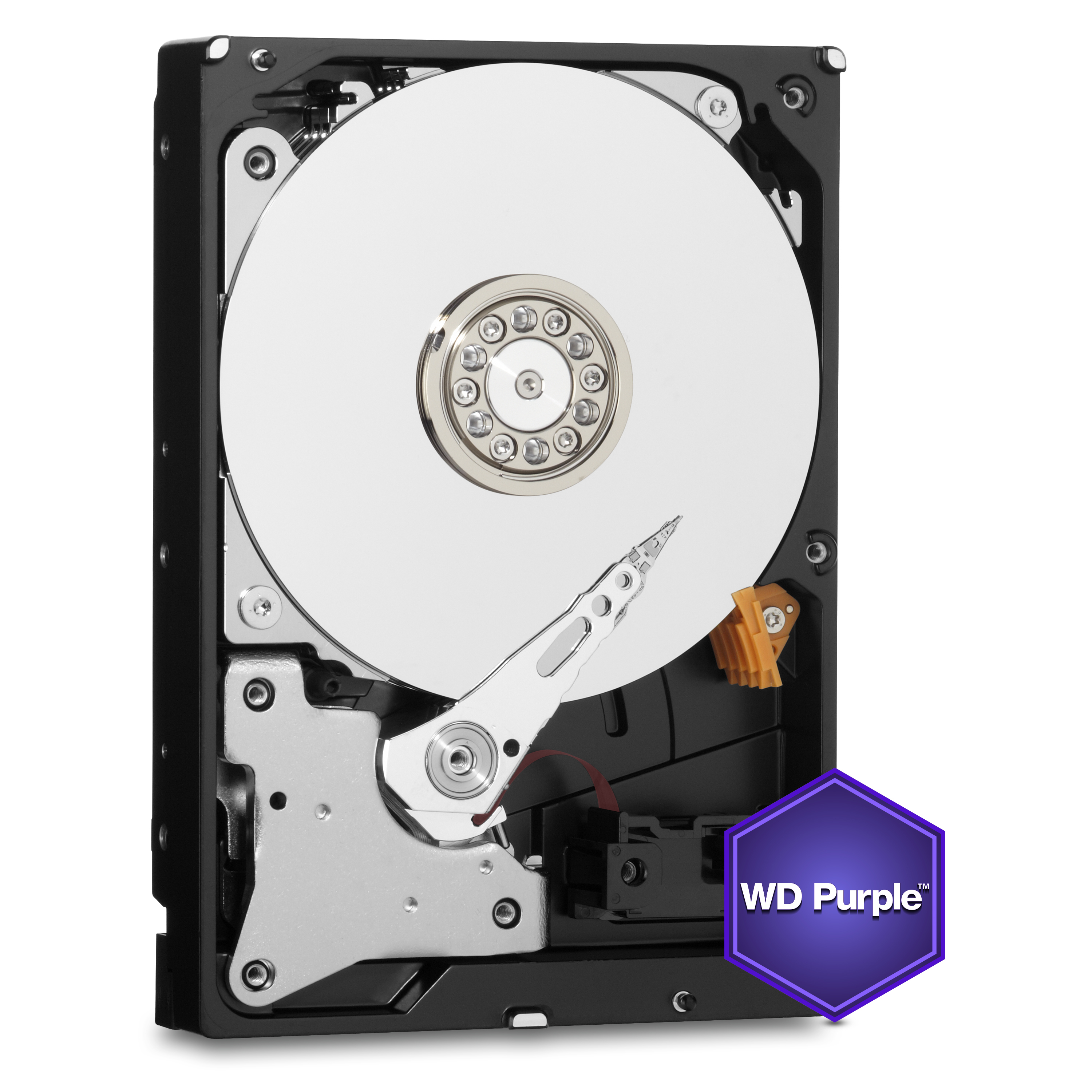 WD 10TB 3.5 5400RPM 256MB SATA3 GUVENL�K C�HAZ� DAH�