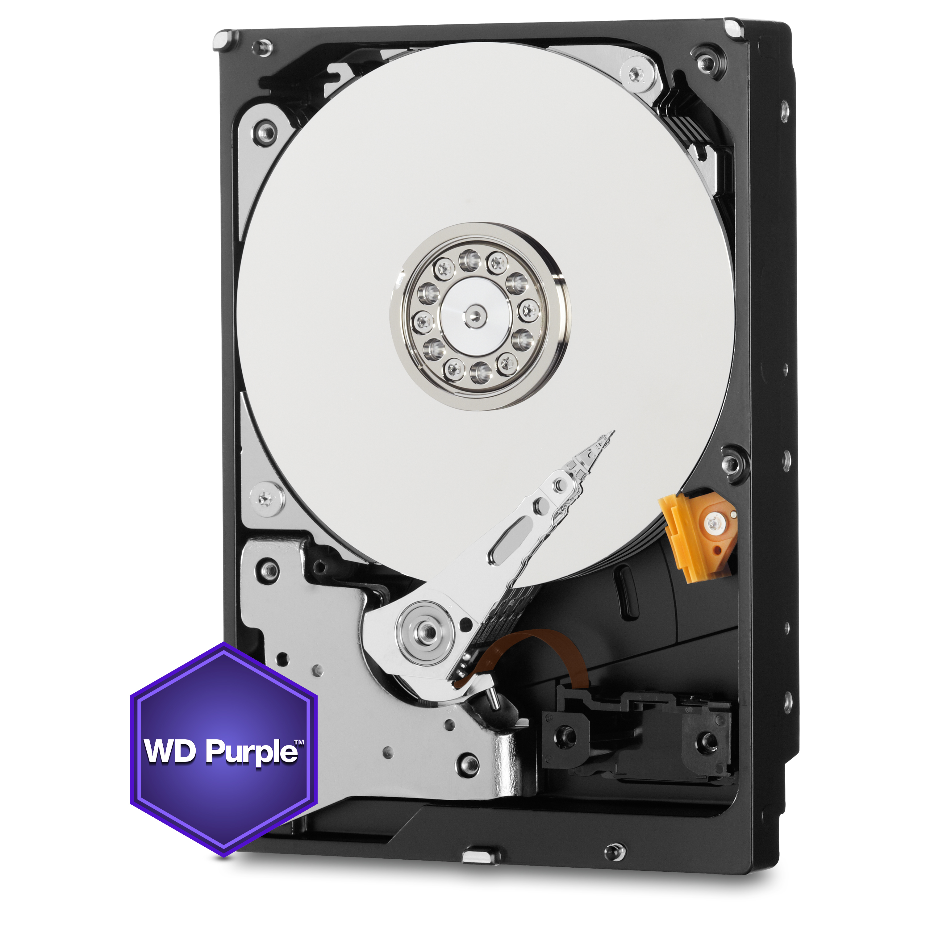 WD 10TB 3.5 5400RPM 256MB SATA3 GUVENL�K C�HAZ� DAH�