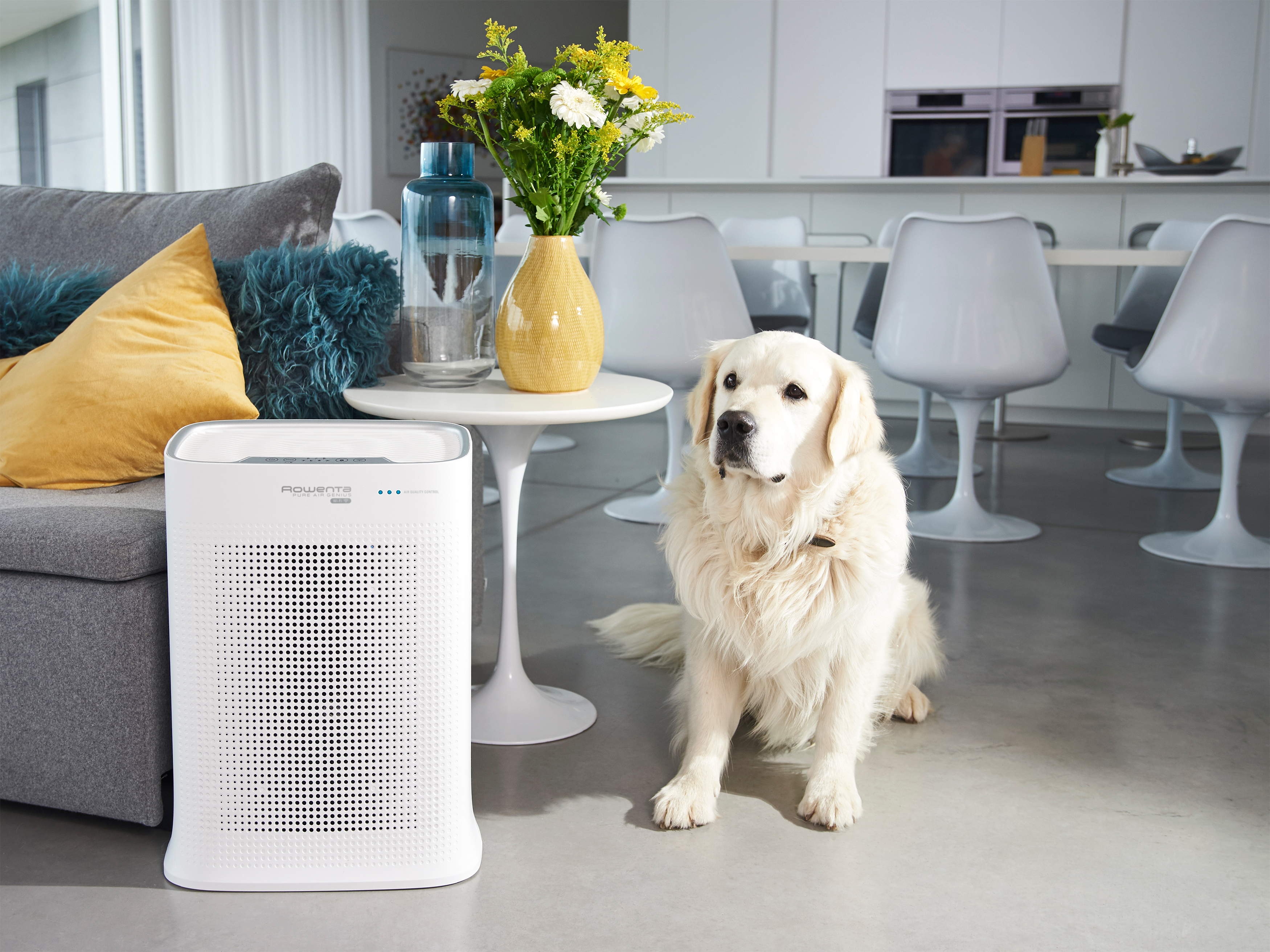 Ein Golden Retriever sitzt in der Nähe eines Luftreinigers. Eine Vase mit Blumen steht auf einem Tisch. Couch, Stühle im Hintergrund.