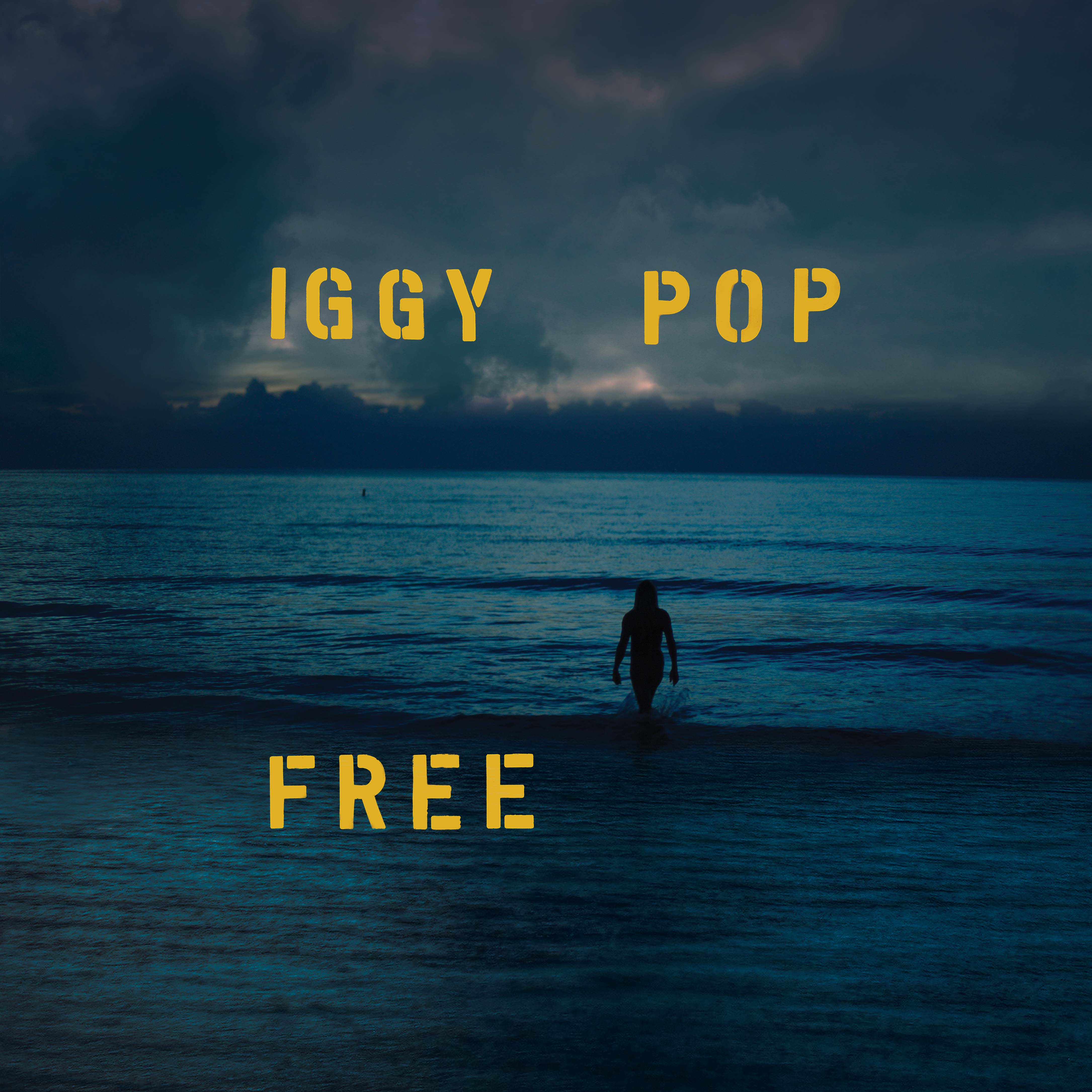 Iggy Pop Albumcover. Eine Person in Silhouette geht in den Ozean unter dunklem Himmel.