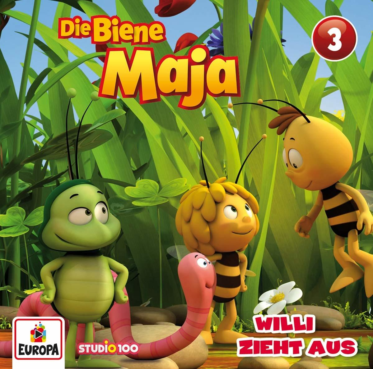 Ein Cartoon-Bild von Biene Maja und ihren Freunden. Sie sind auf einer grünen Wiese.