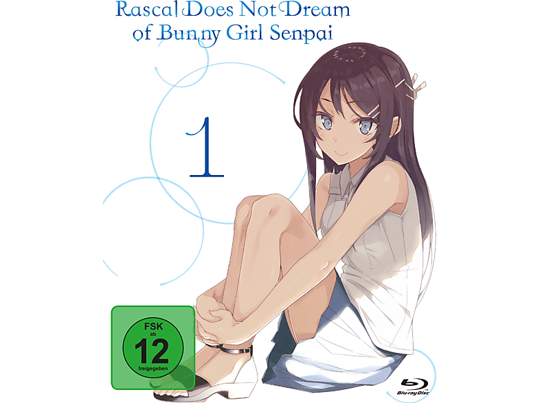 Rascal does not dream. Rascal does not Dream of Bunny girl Senpai. Rascal does not Dream of Bunny girl Senpai книга.