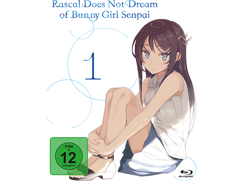 Does not dream of bunny girl. Rascal does not Dream of Bunny girl Senpai. Rascal does not Dream of Bunny girl Senpai аниме. Rascal does not Dream of Bunny girl Senpai фильм 2016. Rascal does not Dream of Bunny girl Senpai книга.