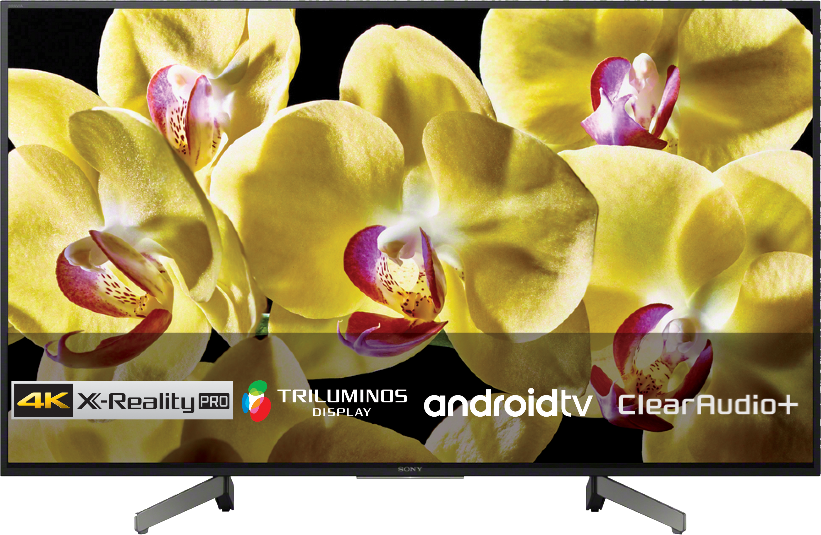 SONY KD-55XG8096 - TV (55 ", UHD 4K, LCD)