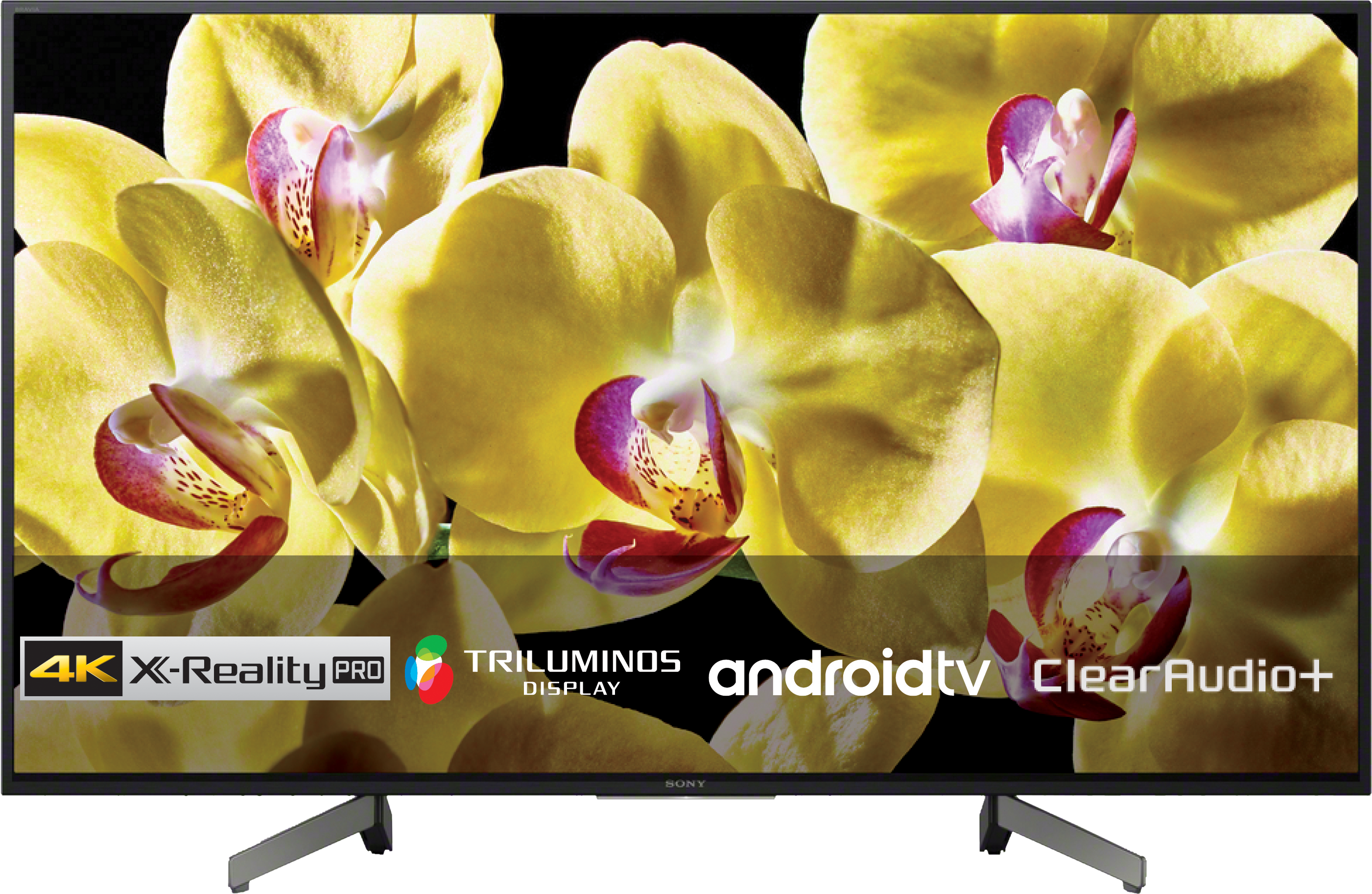 SONY KD-75XG8096 - TV (75 ", UHD 4K, LCD)