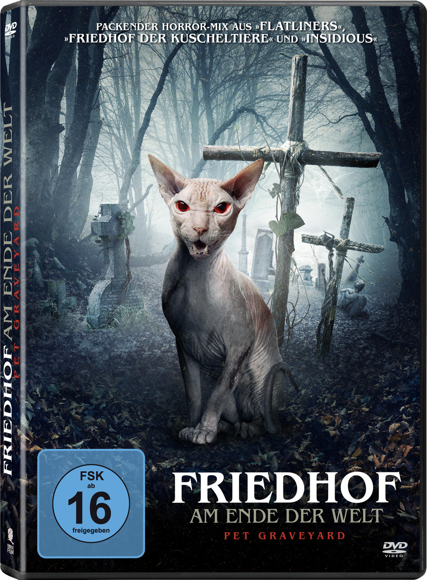 DVD-Cover des Films 'Friedhof am Ende der Welt' mit Katze auf Friedhof.