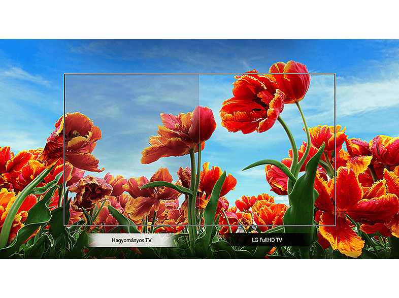 LG 32 LM6300PLA SMART LED televízió, 81 cm, Full HD, webOS ThinQ AI