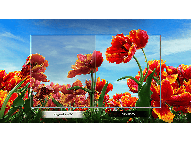 LG 43 LM6300PLA SMART LED televízió, 109 cm, Full HD, webOS ThinQ AI