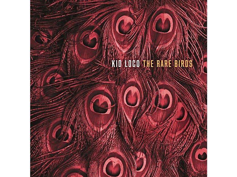 Kid Loco - The Rare Birds  - (Vinyl)