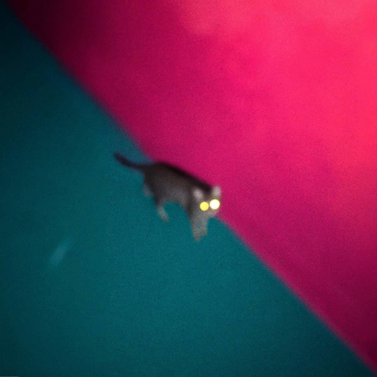 Eine schwarze Katze mit gelben Augen auf diagonalem Hintergrund.