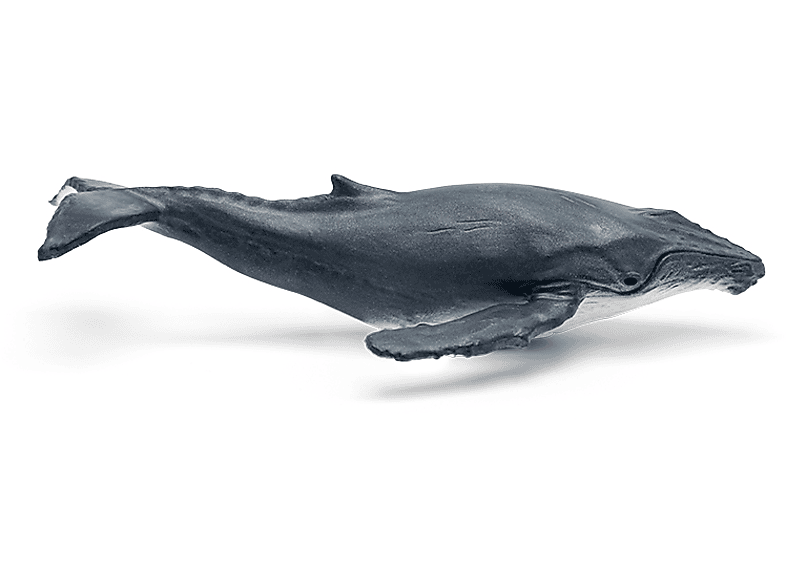 BOXINE Tonies Figur: WAS IST WAS | Wale und Delfine/Geheimnisse der