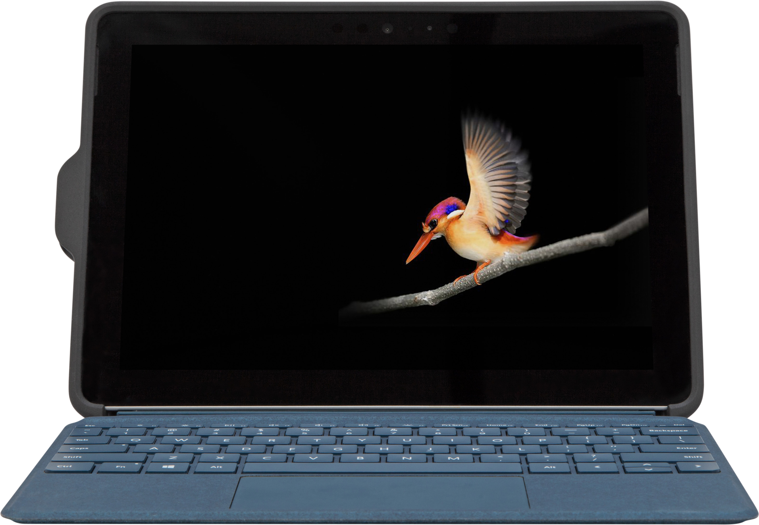 Tablet mit Vogelbild und Tastatur. Der Hintergrund ist schwarz.