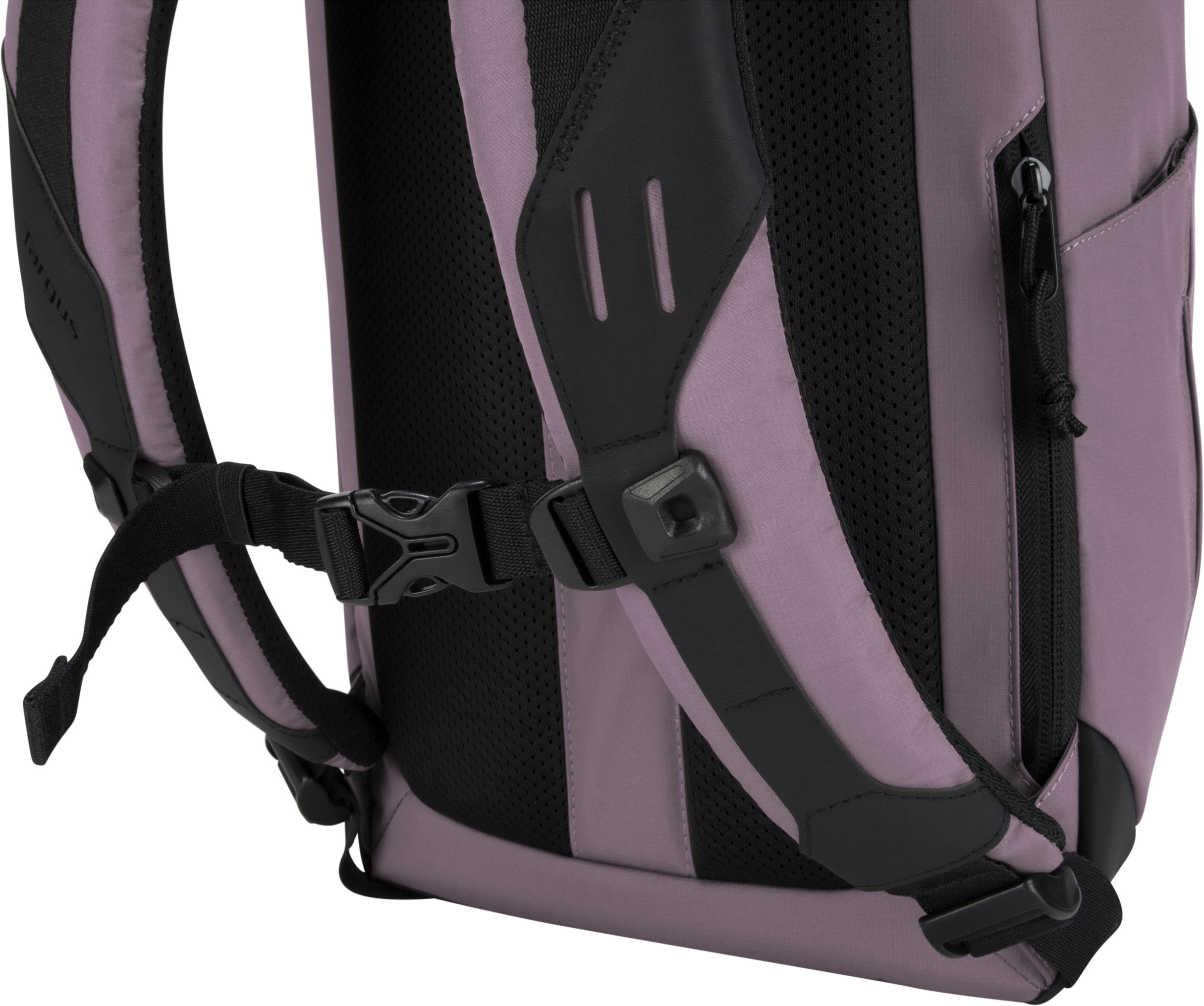 TARGUS TSB97203GL Sol-Lite, Rucksack, Universal, Universal, Hell Lila