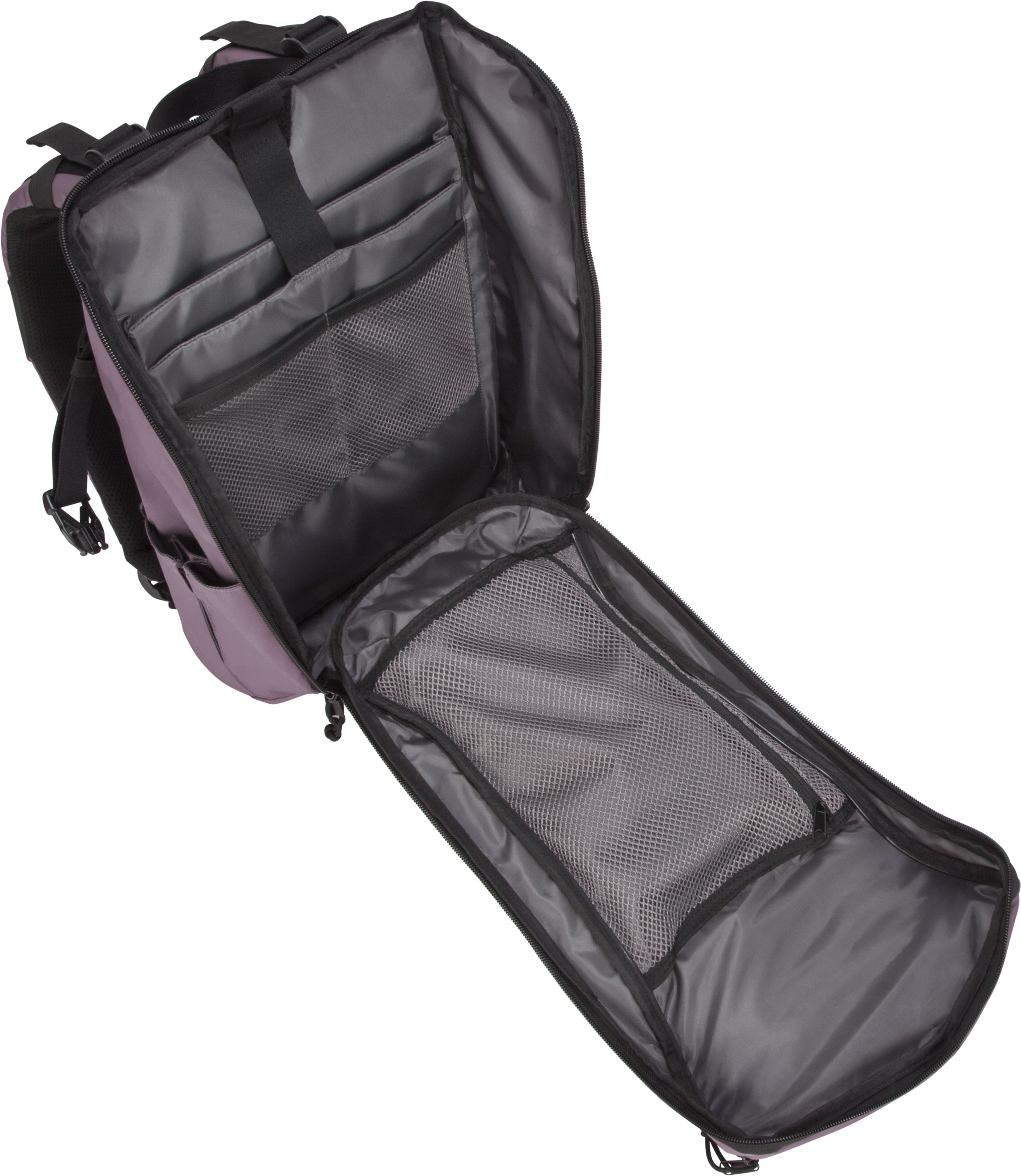 TARGUS TSB97203GL Sol-Lite, Rucksack, Universal, Universal, Hell Lila