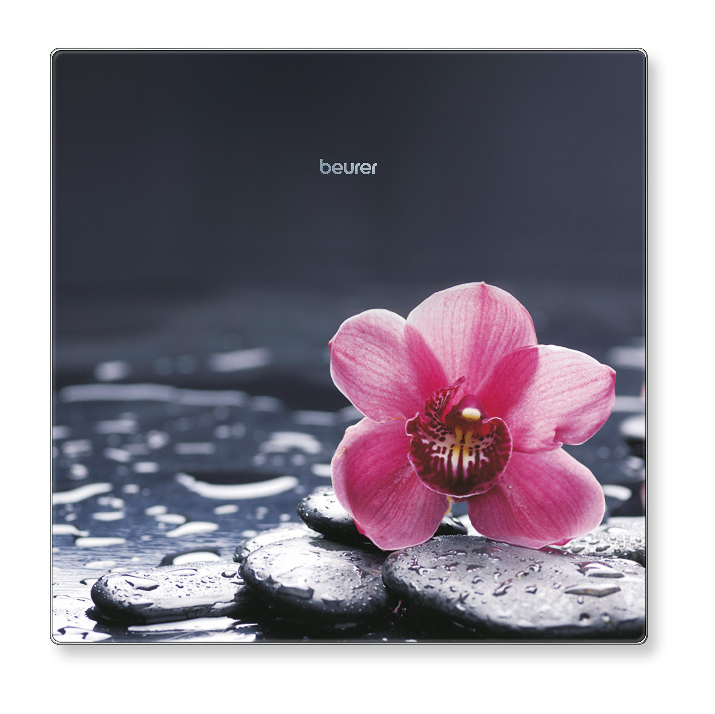 Eine rosa Orchidee auf schwarzen Steinen, auf einer schwarzen und nassen Oberfläche.