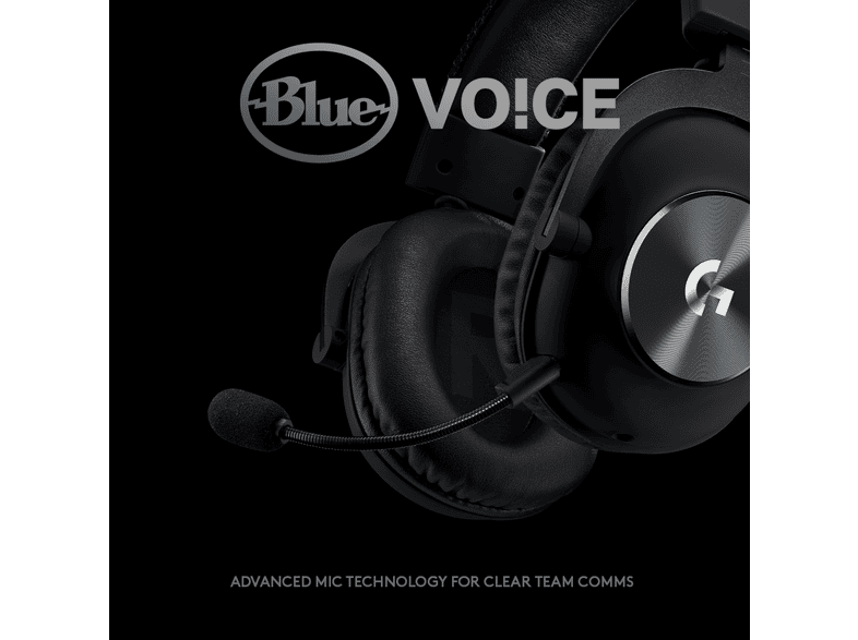 Voice
