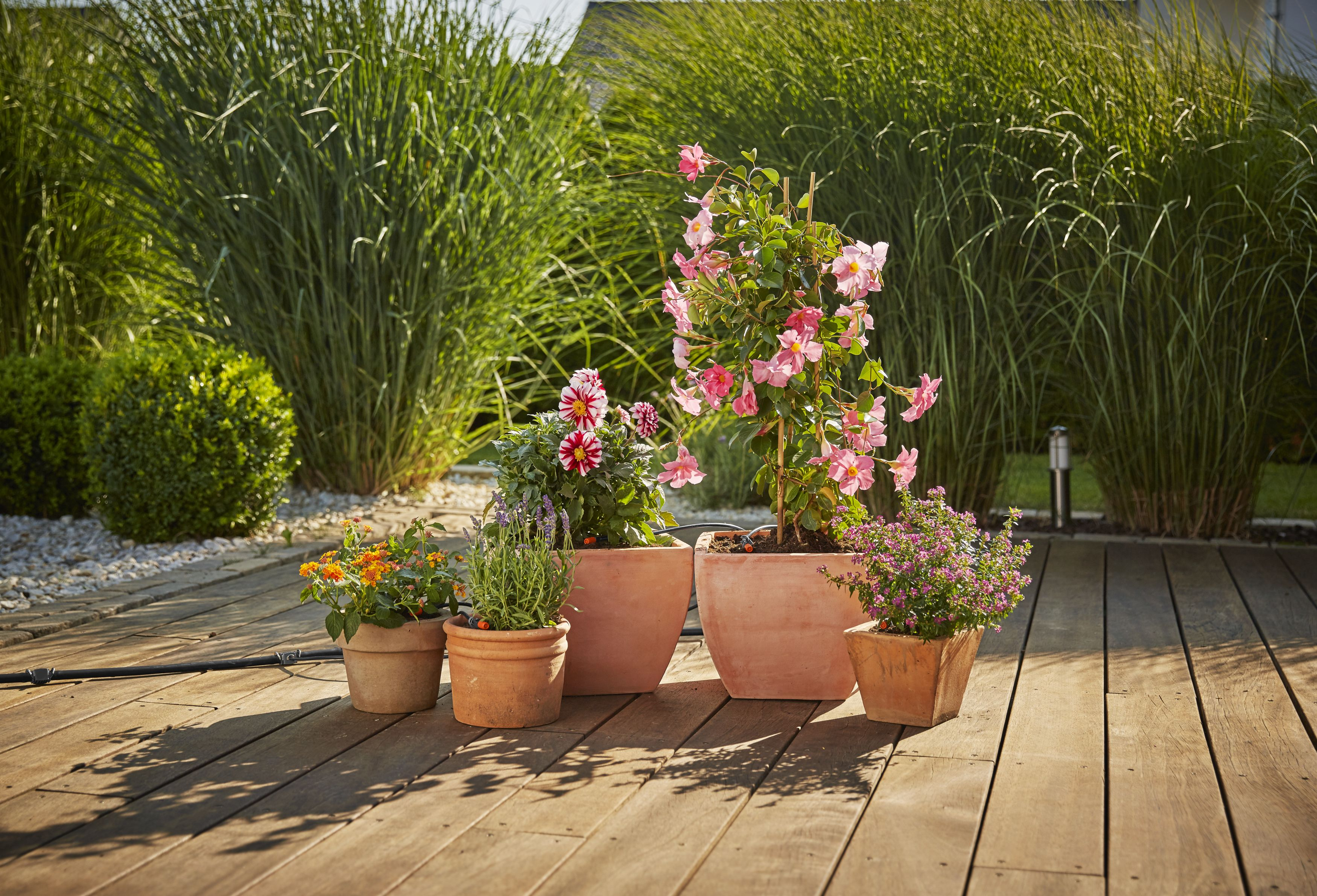 GARDENA 13005-20 Micro-Drip-System Tropfbewässerung