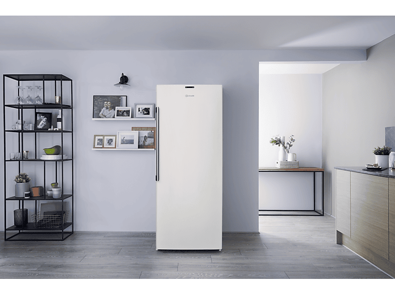Bauknecht GKN 2173 A3+ Gefrierschrank A+++ | MediaMarkt Bauknecht GKN 272 Stand Gefrierschrank, A+++ | GALERIA