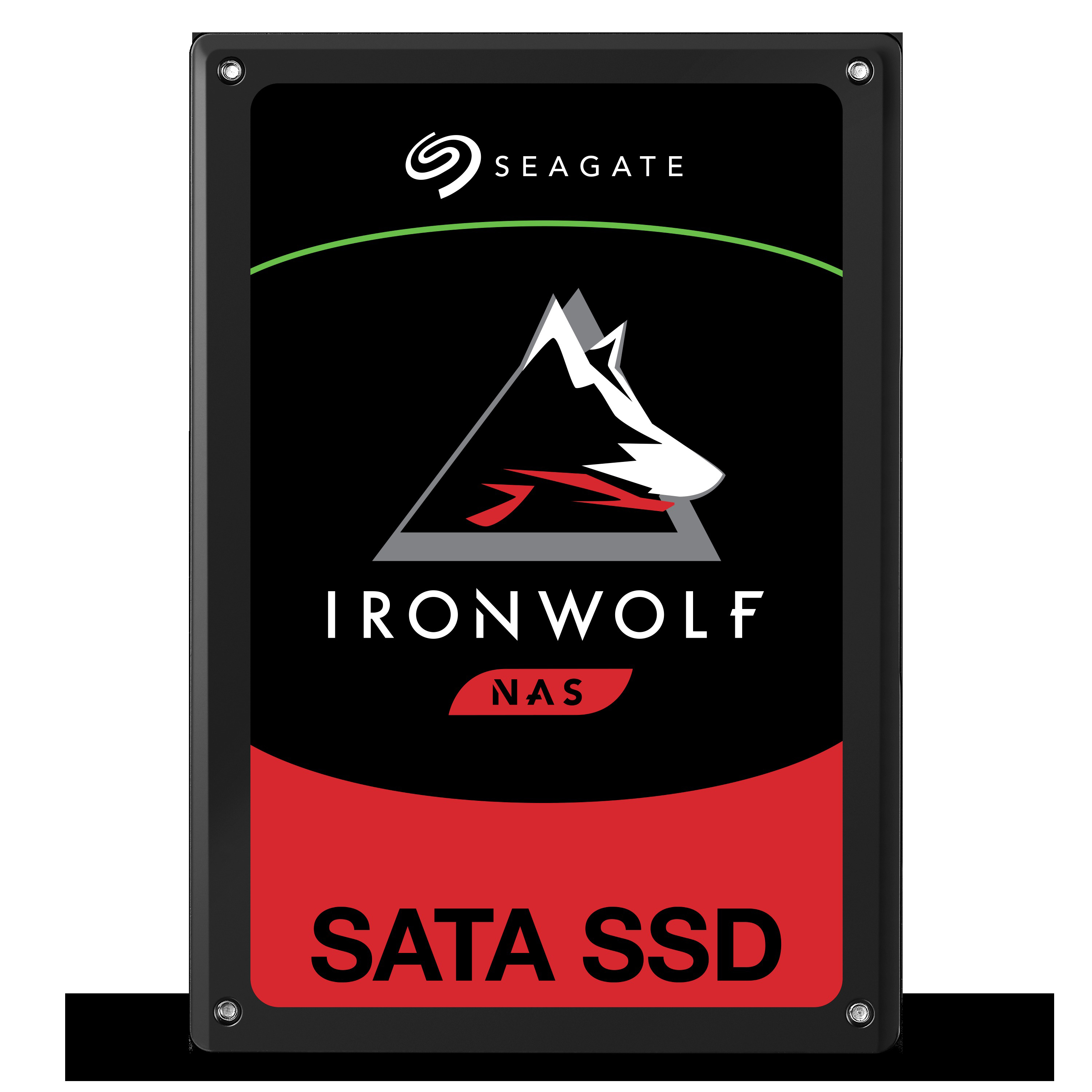 SEAGATE IronWolf 110 Festplatte Zoll, Retail, GB 3840 2,5 Gbps, SSD intern SATA 6