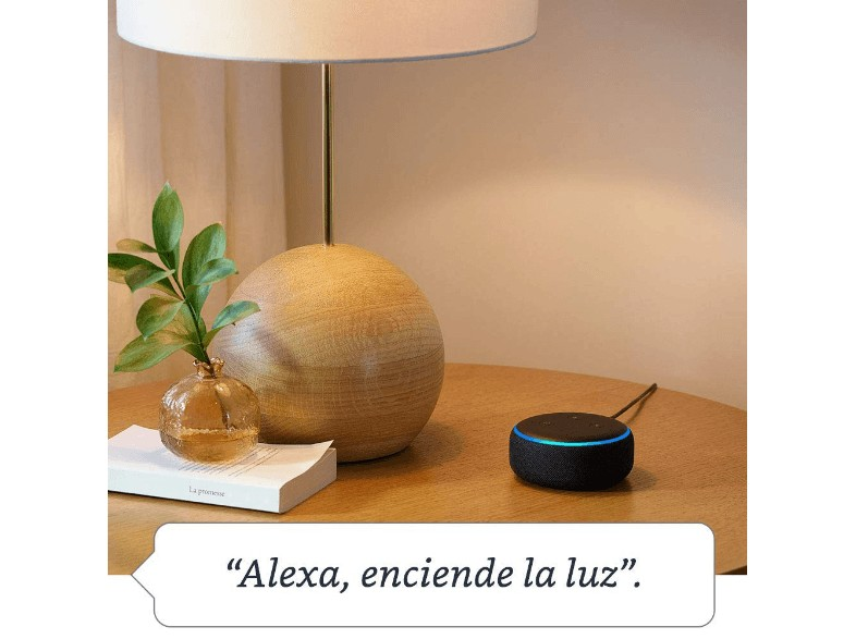 Un altavoz inteligente en una mesa. Una lámpara y una planta están cerca. Texto: Alexa, enciende la luz.