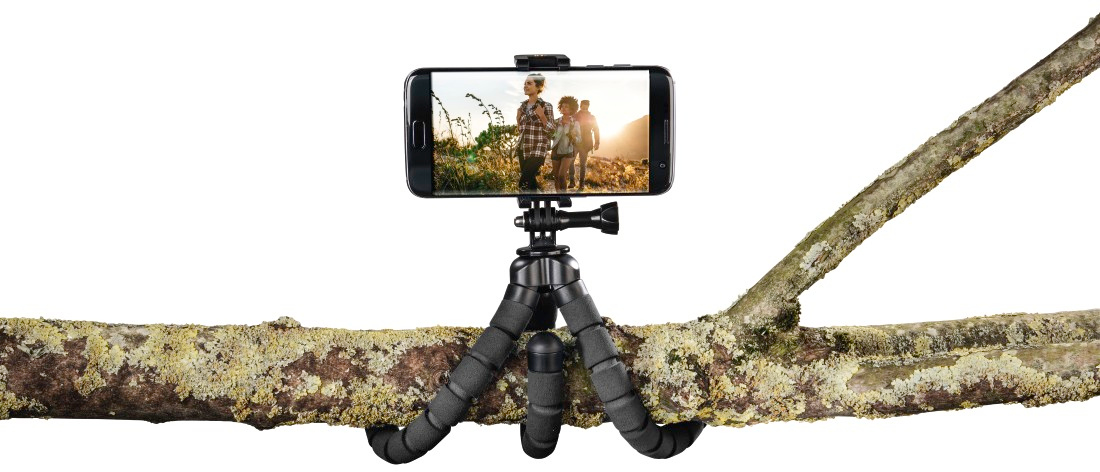 A smartphone on a tripod on a branch. The phone shows a picture of people in nature.