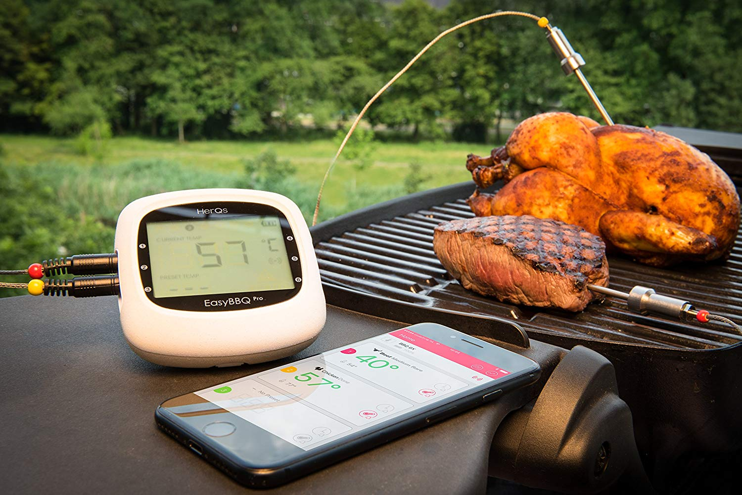 A roasted chicken and a steak on a grill, with a thermometer and smartphone nearby.