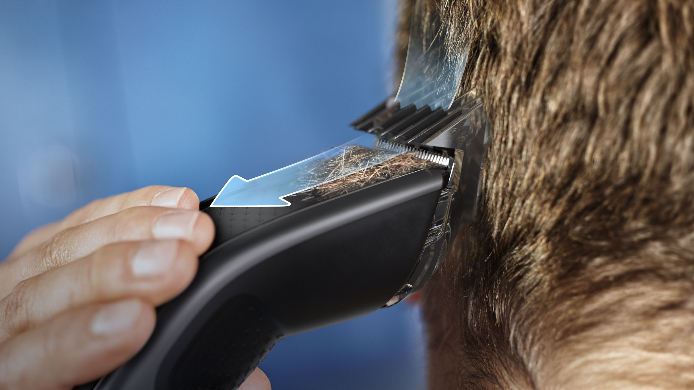 Haare einer Person werden mit einem schwarzen Haarschneider geschnitten, blauer Hintergrund.