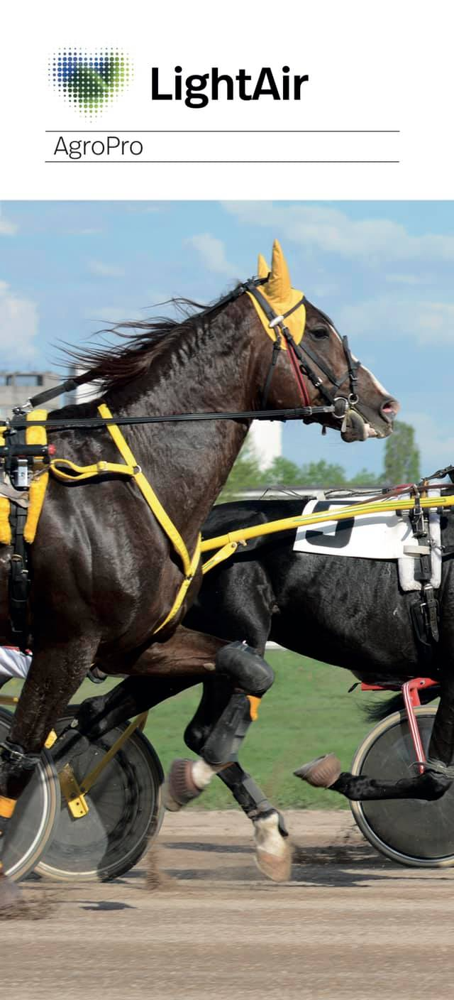 Zwei Pferde bei einem Harness-Rennen auf der Rennbahn, Zuschauer im Hintergrund.