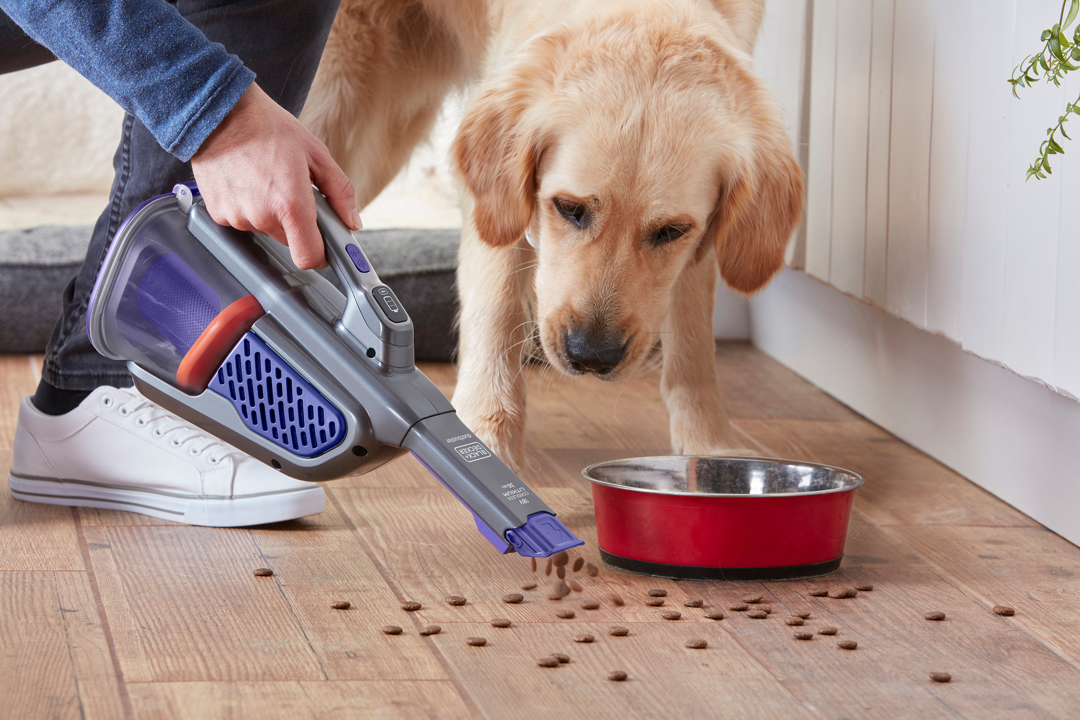 Person vacuuming dog food off a wooden floor. A golden retriever looks on.