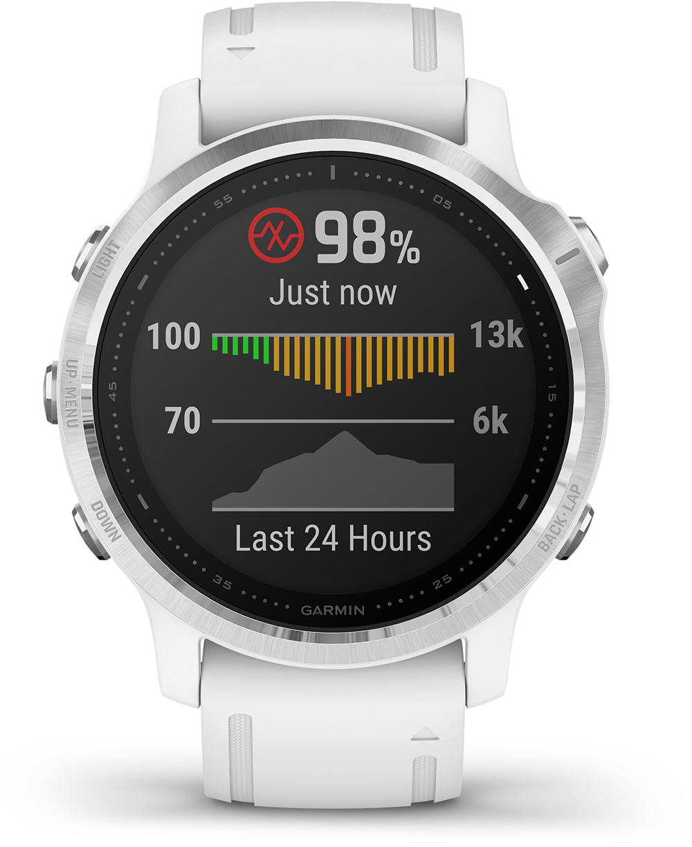 GARMIN fenix 6S 42 mm Wit/Zilver