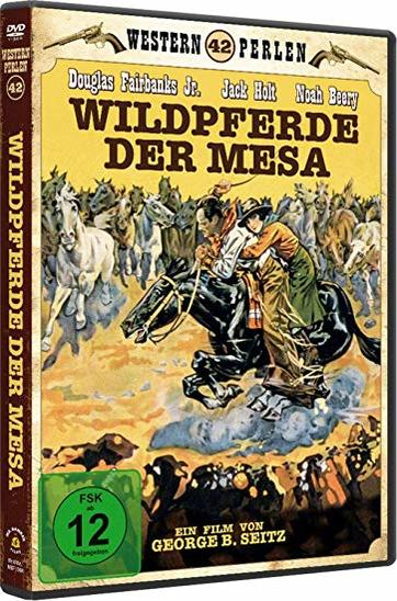DVD-Hülle eines Westernfilms. Ein Cowboy auf einem Pferd ist auf dem Cover, mit Pferden und anderen Personen.