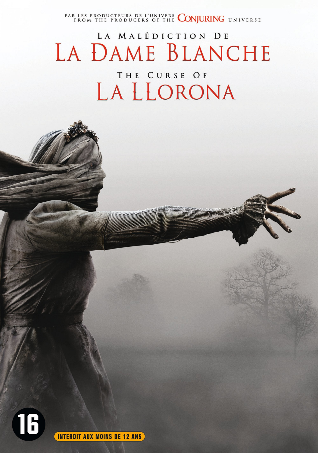 Affiche de film : une femme au visage voilé et à la main tendue, intitulée "La Dame Blanche".
