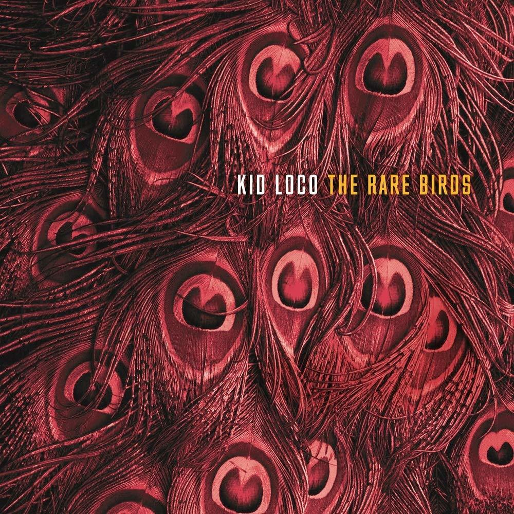 Kid Loco - Birds - Rare The (Vinyl)