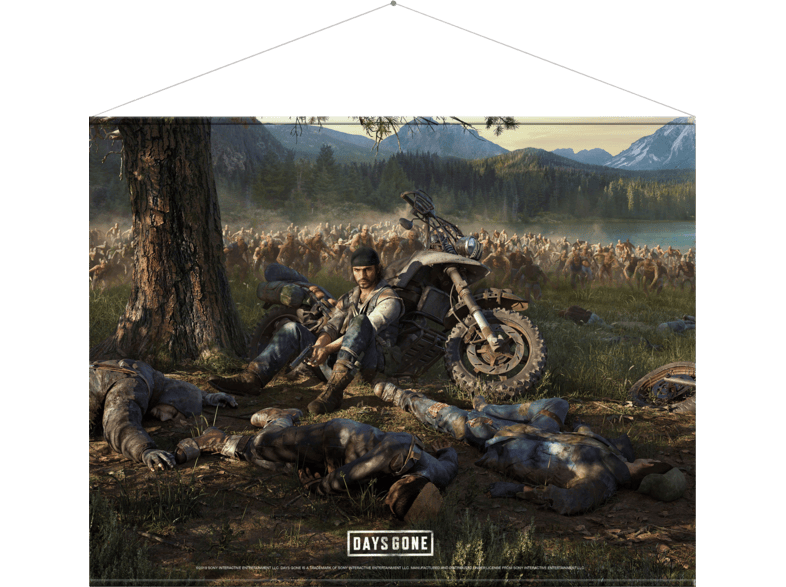 Gaya Days Gone Cover Art Wallscroll Kaufen Mediamarkt