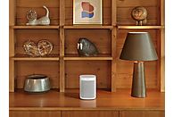 SONOS One SL Wit