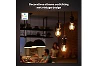 PHILIPS HUE Bluetooth - Filament - A60/E27 - Kogel