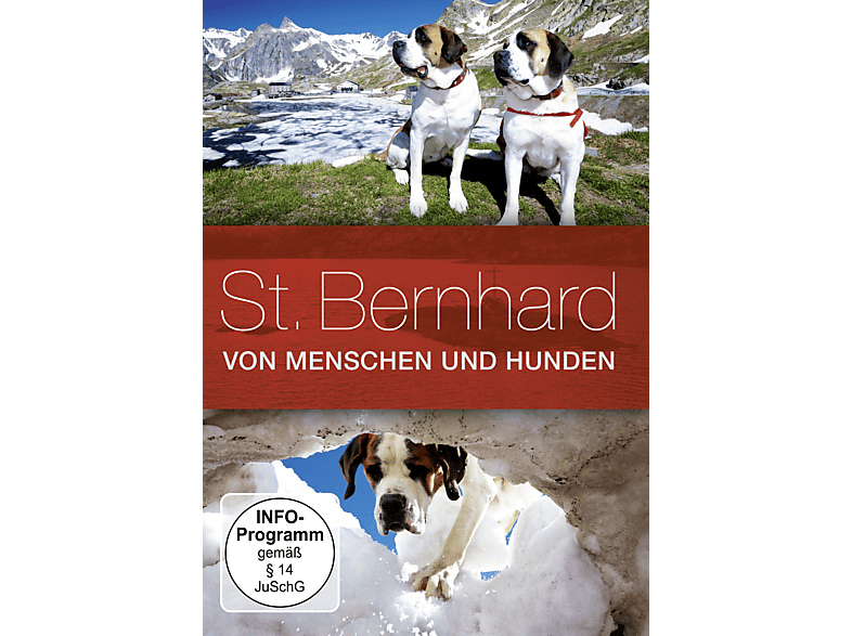 St. Bernhard – Von Menschen und Hunden DVD