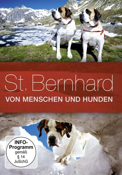 DVD-Cover mit Bernhardinerhunden auf einem schneebedeckten Berg. Titel: St. Bernhard.