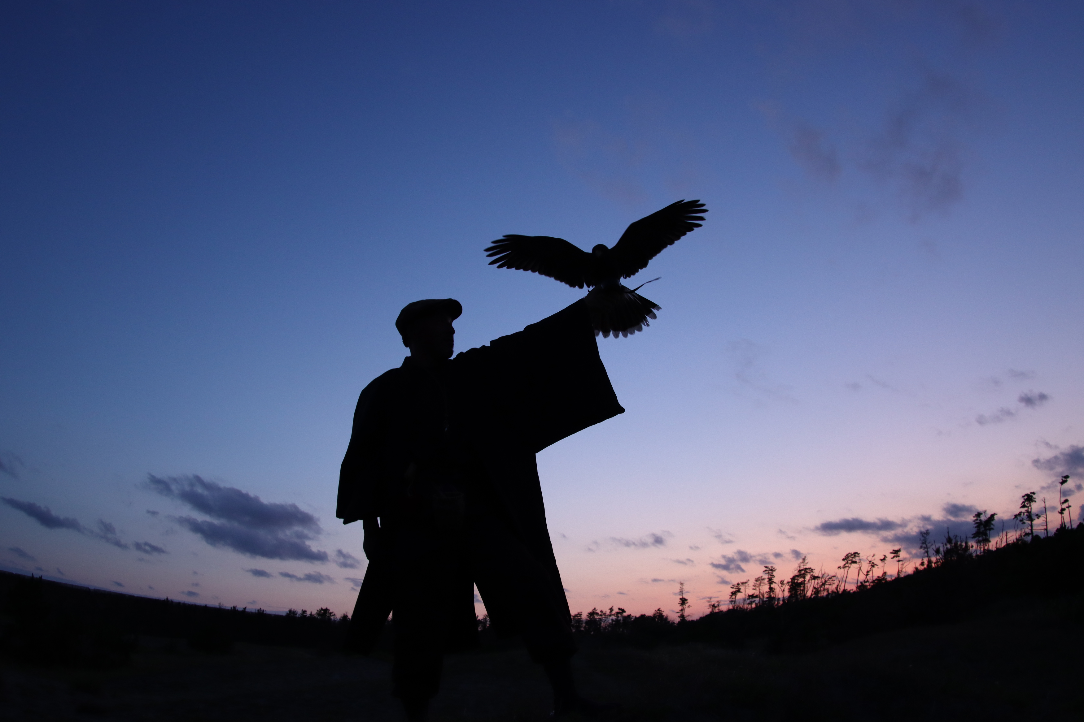 Silhouette eines Mannes mit einem Vogel vor einem Sonnenuntergang.