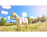 The Unicorn Princess - Xbox One - Tedesco, Francese