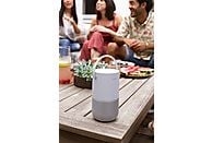 BOSE Portable Home Speaker Luxe Silver