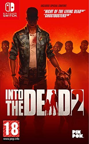 Nintendo Switch Into the Dead 2