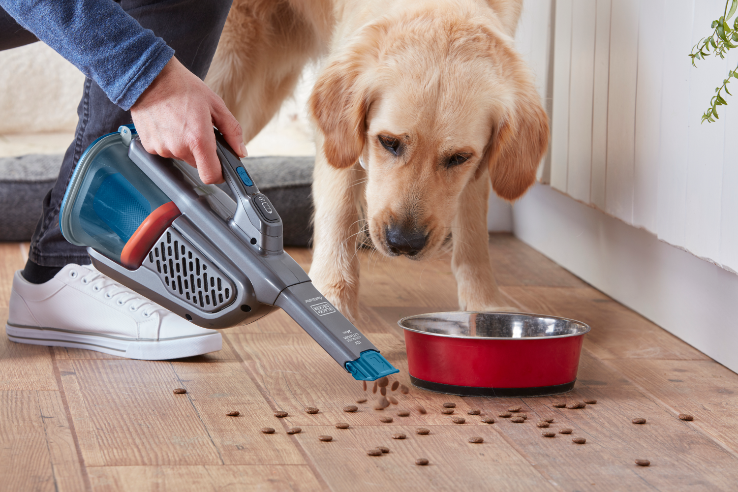 Person benutzt einen Handstaubsauger. Ein Golden Retriever schaut zu.