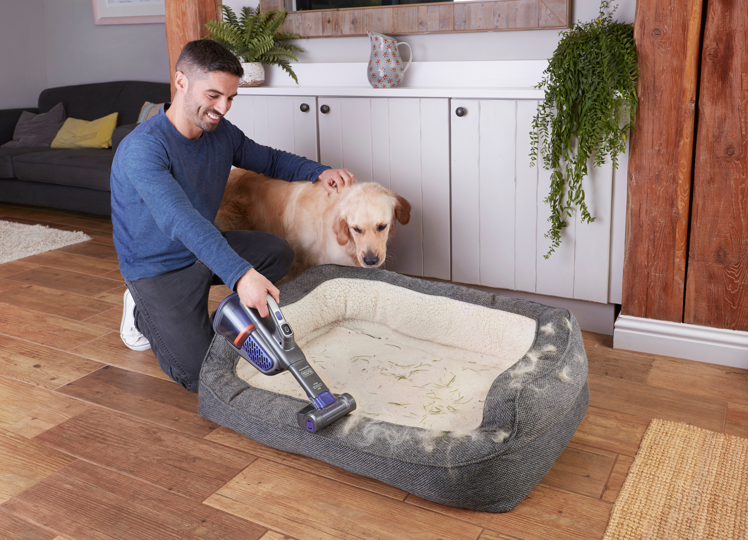 Homme aspirant le lit du chien avec un aspirateur à main, le chien regarde. Cadre domestique.