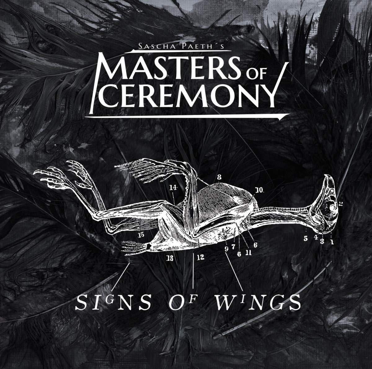 Sascha Paeth's Masters Of Ceremony - Signs Wings (CD)