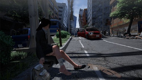 Nintendo Switch Disaster Report 4: Summer Memories